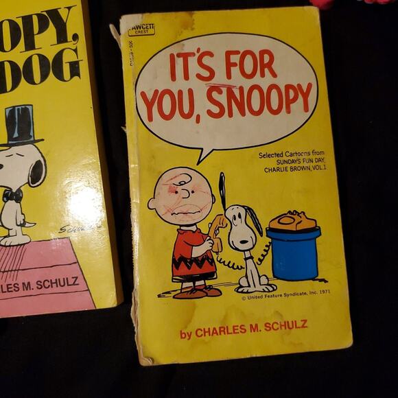 Snoopy Comic - Picture 2 of 4